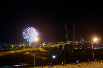 The Zolotoy Golden Bridge is cable-stayed bridge across the Zolotoy Rog (Golden Horn) in Vladivostok, Russia	