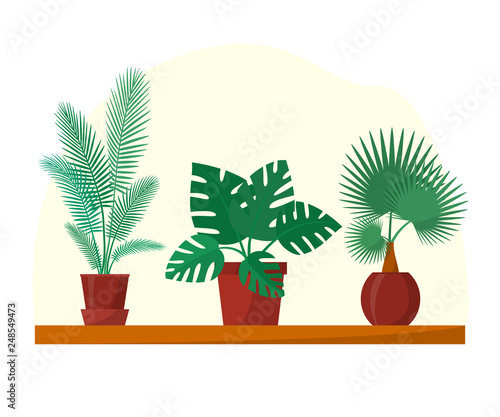 Tropical Plants And Palms Set In Flat Style Home Pots On