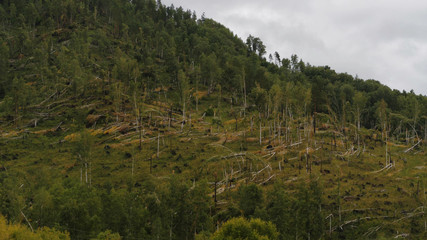 Consequences of the hurricane