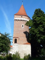 KRAK&Oacute;W  BASZTA PASAMONIK&Oacute;W  POLSKA