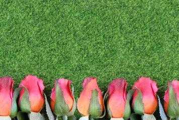 Red silk roses and artificial green grass form a bottom border. Good for the running of the thoroughbred race called the Kentucky Derby. Copy space