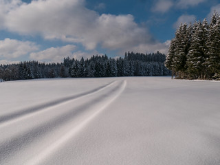 Verschneite Winterlandschaft am Waldrand