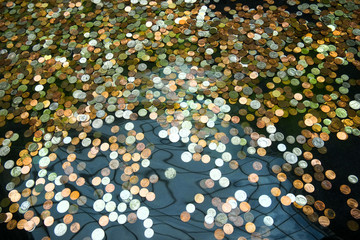 coins in a fountain