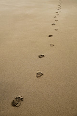 footprints in the sand