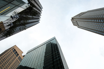 Fototapeta na wymiar skyscraper in new york