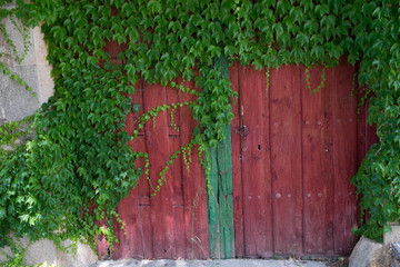 rustic wooden door