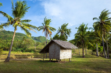 Fototapeta na wymiar Bamboo hut on Filipino Farm in Camiguin, Mindanao