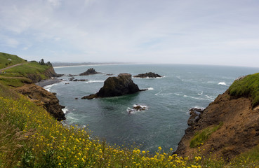 Oregon Coast