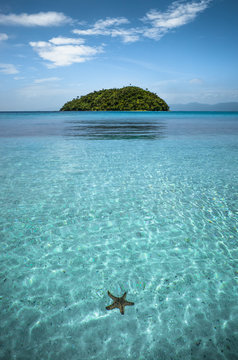Starfish and Perfect Tiny Island on Tropical Bonbon Beach, Romblon - Philippines