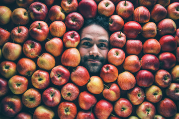 Mann mit Äpfeln , Konzept für Lebensmittelindustrie. Gesicht von lachenden mann  in Apfel Fläche.