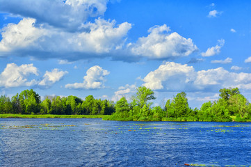 Fototapeta na wymiar Beautiful summer landscape. Blue sky and Large clouds above tributary of the Dnieper River . Fabulous view of the coastline with green reeds and forest.