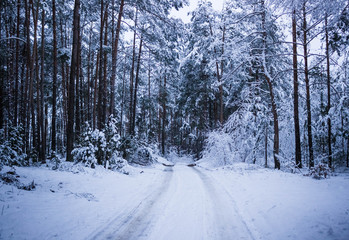 Najpiękniejsze miejsca w Polsce
