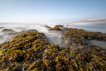 Amazing Las Brisas beach an awe sea coastline landscape on a wild environment in Chile. The sun goes down over the infinite horizon while the water stream push by the waves onto the algae and rocks