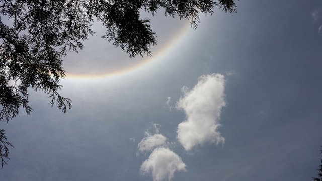 Halo