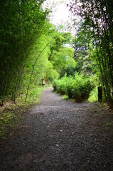 Naklejka premium Into the park