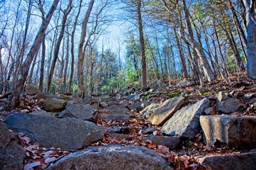 Outdoor Blue Hills Hike in Boston, MA on a sunny day during the winter