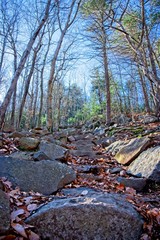 Outdoor Blue Hills Hike in Boston, MA on a sunny day during the winter