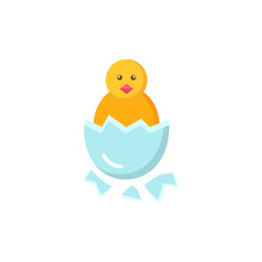 Chick peeking out of egg shell icon.