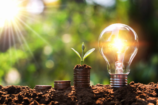 light bulb on soil with young plant growing on money stack. saving finance and energy concept