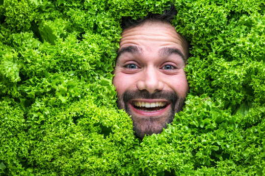 Mann mit Salt , Konzept für Lebensmittelindustrie. Gesicht von lachenden mann  in Salat Fläche.