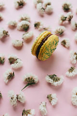 Fototapeta na wymiar Composition of delicious bright macaroons and floral petals 