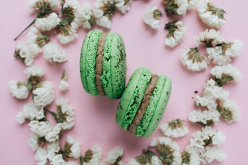 Composition of delicious bright macaroons and floral petals 