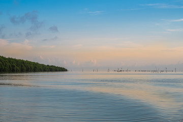 Forest, wetlands, mountains, sky and sea in nature
