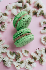 Composition of delicious bright macaroons and floral petals 