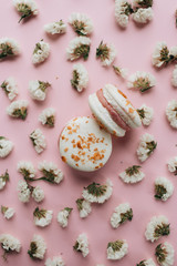 Composition of delicious bright macaroons and floral petals 