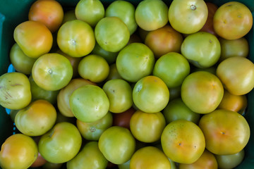 Organic green and red tomatoes in the basket