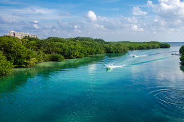 Mangrove landscape at Cancun, Mexico