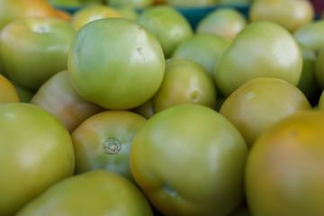 Organic green and red tomatoes in the basket