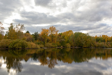 Forest lake landscape in autumn in cloudy weather