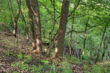 Frontenac is a State Park in Minnesota