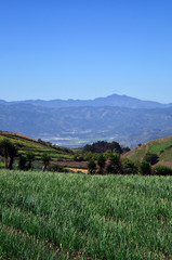 Fototapeta premium Mountains view