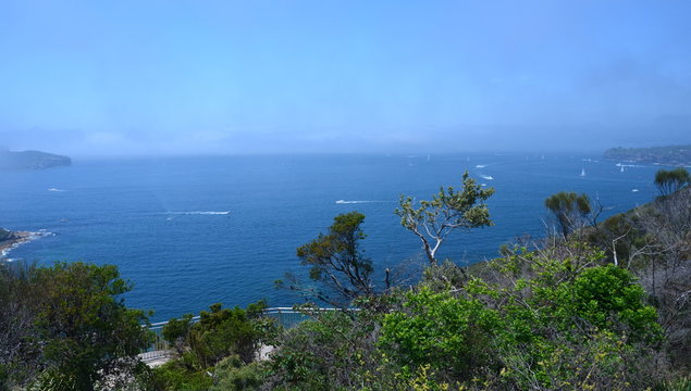 North Head and South Head view from Dobroyd Head lookout in Sydney Harbour.