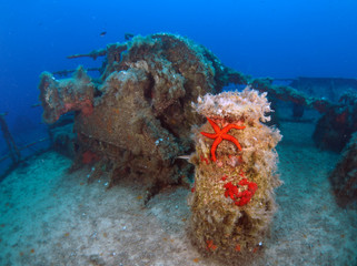 Fototapeta na wymiar Scuba Diving Malta - Um el Faroud Wreck
