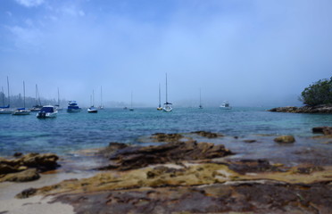 Yachts in North Harbour at Fourty Baskets Beach on a foggy day. Manly in the background.