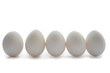 egg