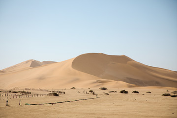 Fototapeta na wymiar Dune 7, Namibia