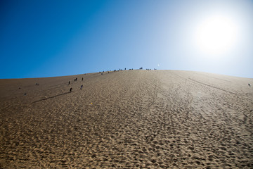 Fototapeta premium Dune 7, Namibia