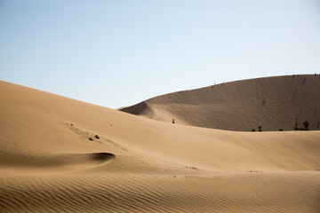 Fototapeta na wymiar Dune 7, Namibia