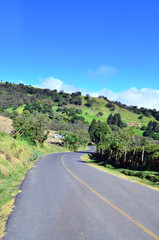 Road in the countryside