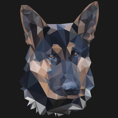  German shepherd low poly portrait