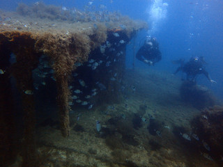 Scuba Diving Malta - HMS Maori