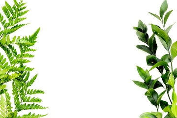 Fototapeta na wymiar Spring green plants, sprigs, leaves border on white background top view copy space border