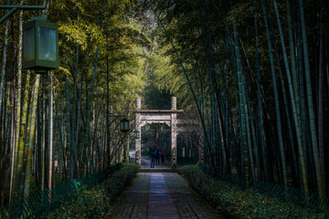 Obraz premium Yunxi Bamboo Trail, Spring Outing
