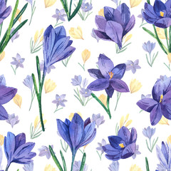 Seamless pattern with watercolor crocuses. Spring bright flowers. Seamless background.