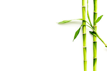 Asian background. Green bamboo branches on white wooden background top view space for text