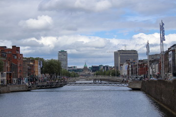 Naklejka premium natural history